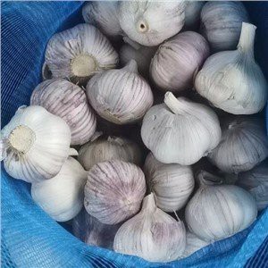 Fresh Garlic On Pizza
