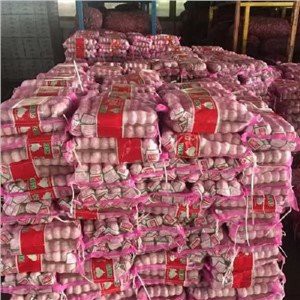 Prepack Normal White Garlic