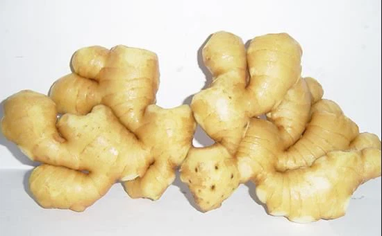 Fresh Ginger Root