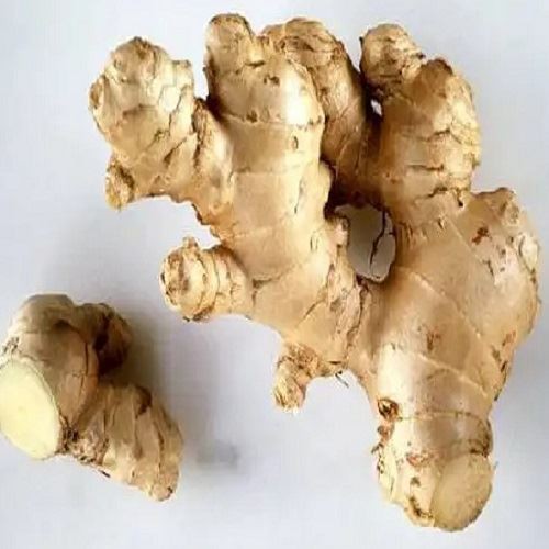 Ginger Root