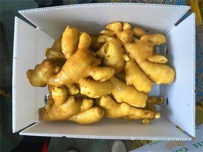 Organic Fresh Ginger